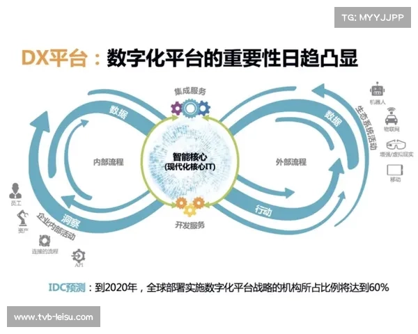 体育数字资产评价指标纳入企业绩效考核体系。